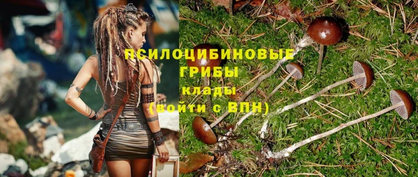 винт Богородицк