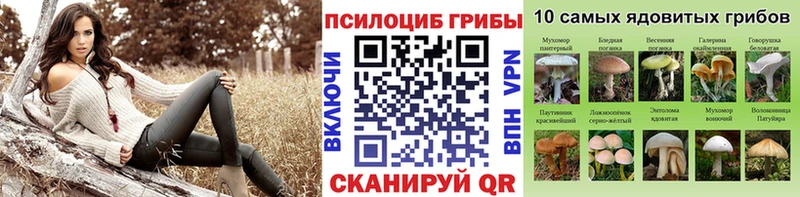Псилоцибиновые грибы Psilocybine cubensis  Верея 